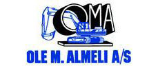 Ole M. Amli